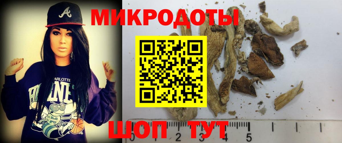 купить наркотики цена  Псилоцибиновые грибы Magic Shrooms  Вход с VPN  Коломна 