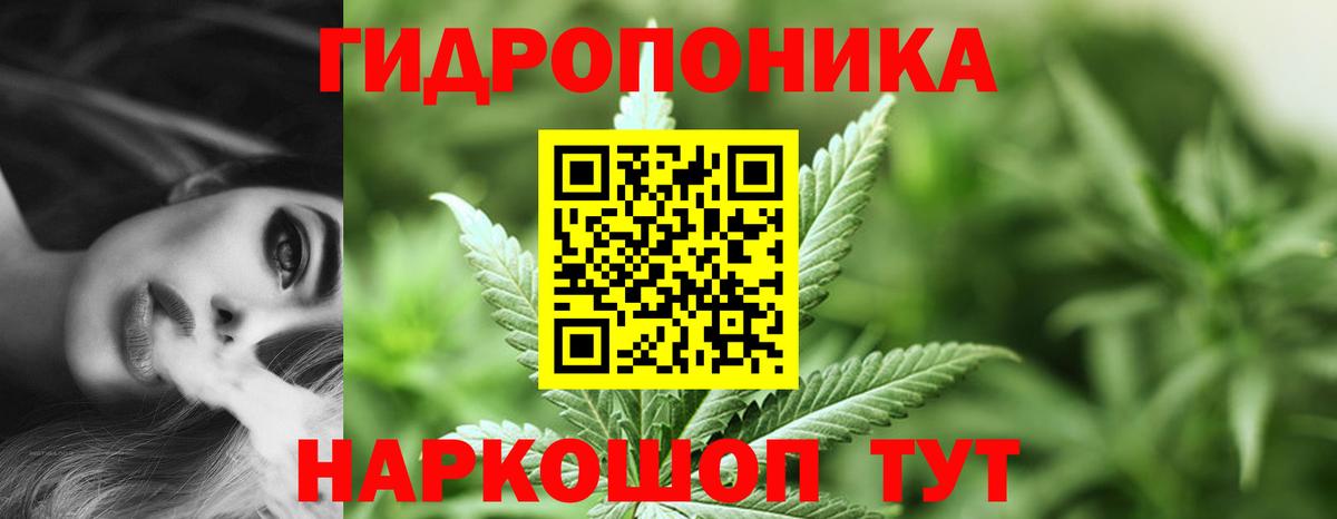 Бошки марихуана марихуана  Вход с VPN  Бошки Шишки план  Коломна  Марихуана тримм 